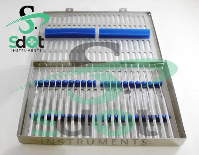 Rhoton Micro Dissector Expanded 20 PCs Set Silver Stainless Steel Neurosurgery SdOt Instruments