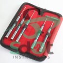 Soft Brushing Release 05 PCs Kit Periosteal incision Lingual Flap Dental Implant By SdOt Instruments