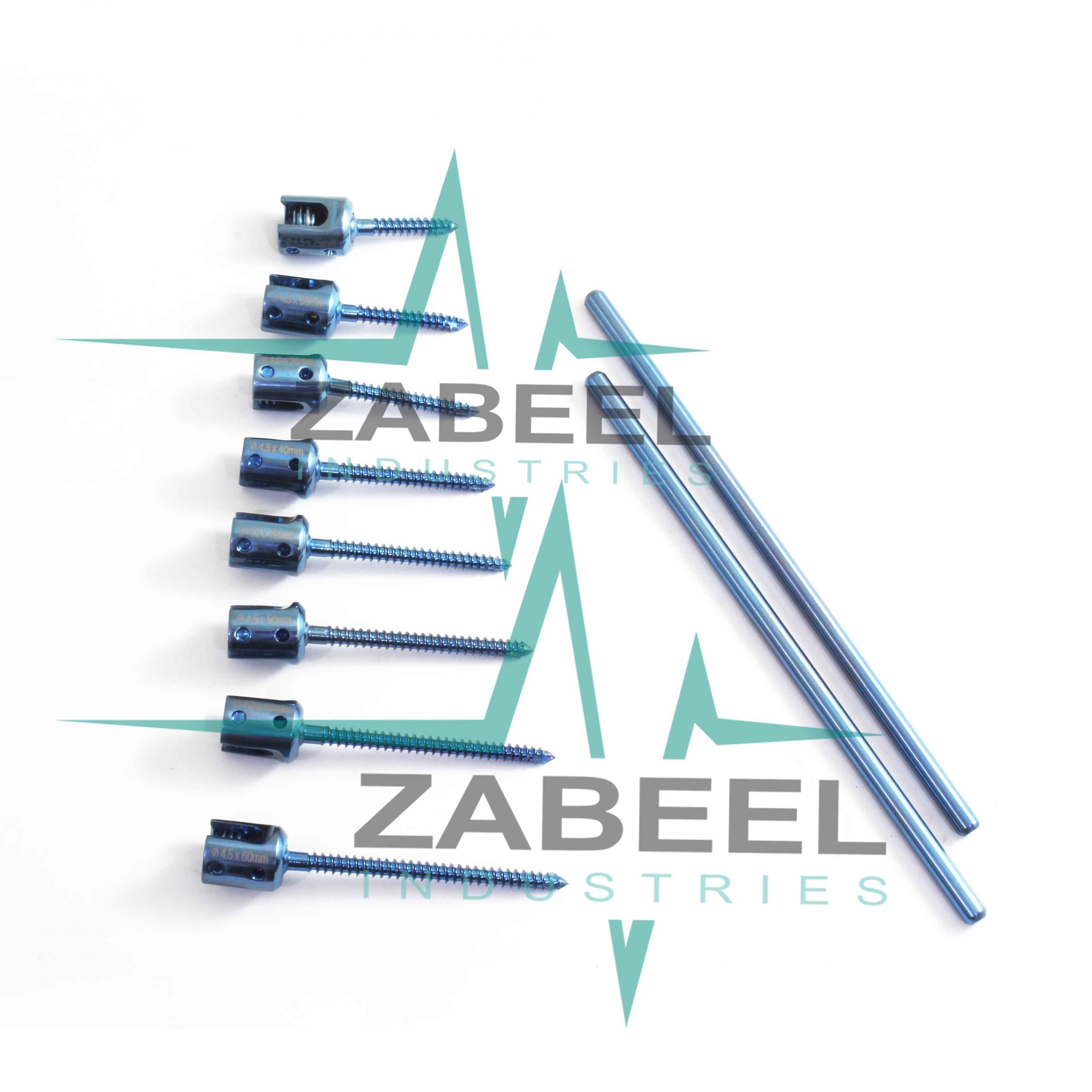 IMG_4442_1_11zon-1-scaled