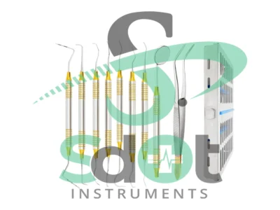 Dental Hygienist Instruments Set of 10 Tool Kit w/ Cassette By SdOt Instruments
