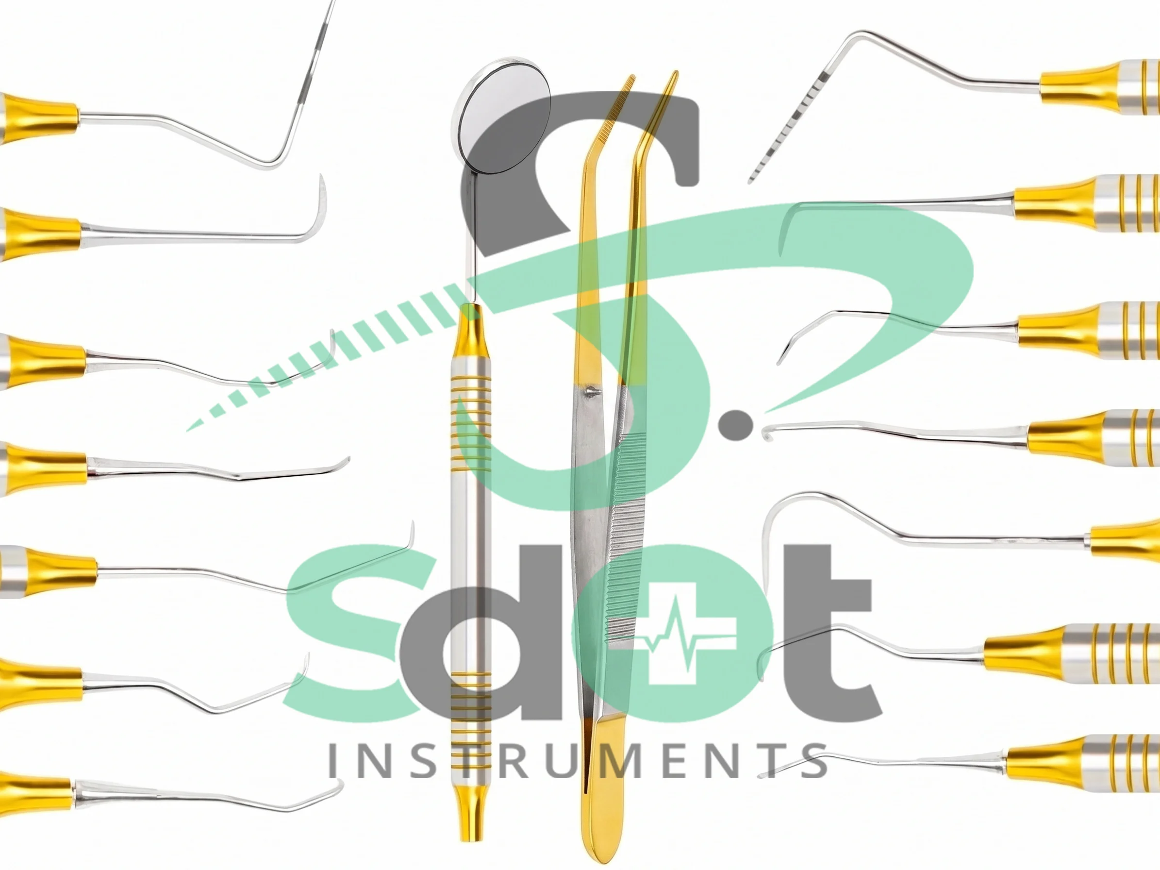 Dental Hygienists Instruments Tool kit 10pcs with Sterilization Cassette By SdOt Instruments - Image 3