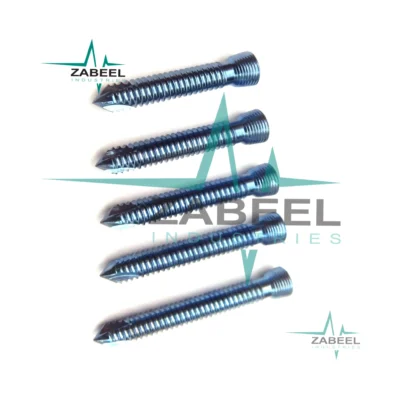 Locking (safety Lock) Titanium Blue 2.0mm Hex Screws Self Tapping 50 Pcs By SdOt Instruments